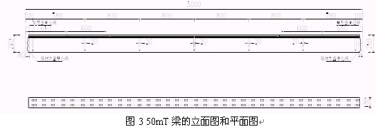 t3.jpg