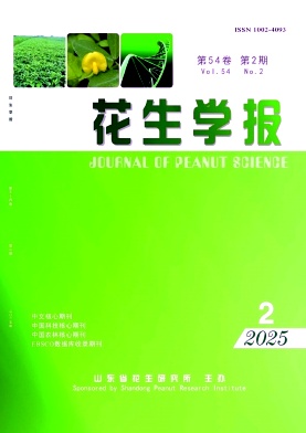 W(xu)(bo)